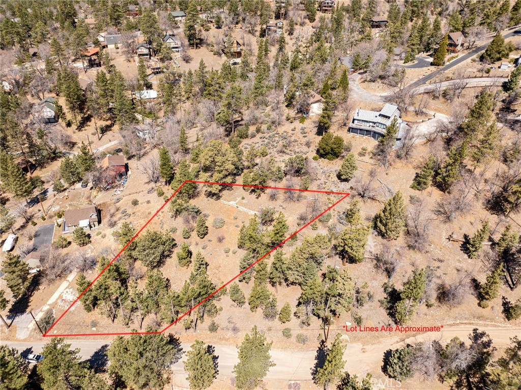1125 Fawnskin Drive