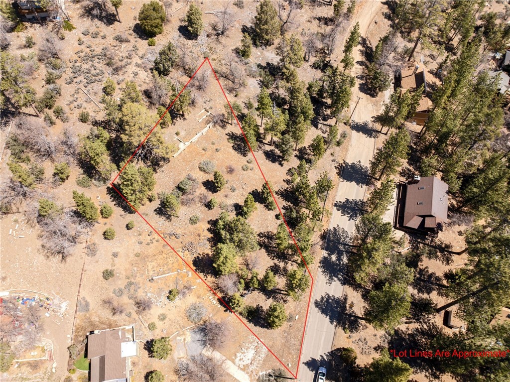 1125 Fawnskin Drive