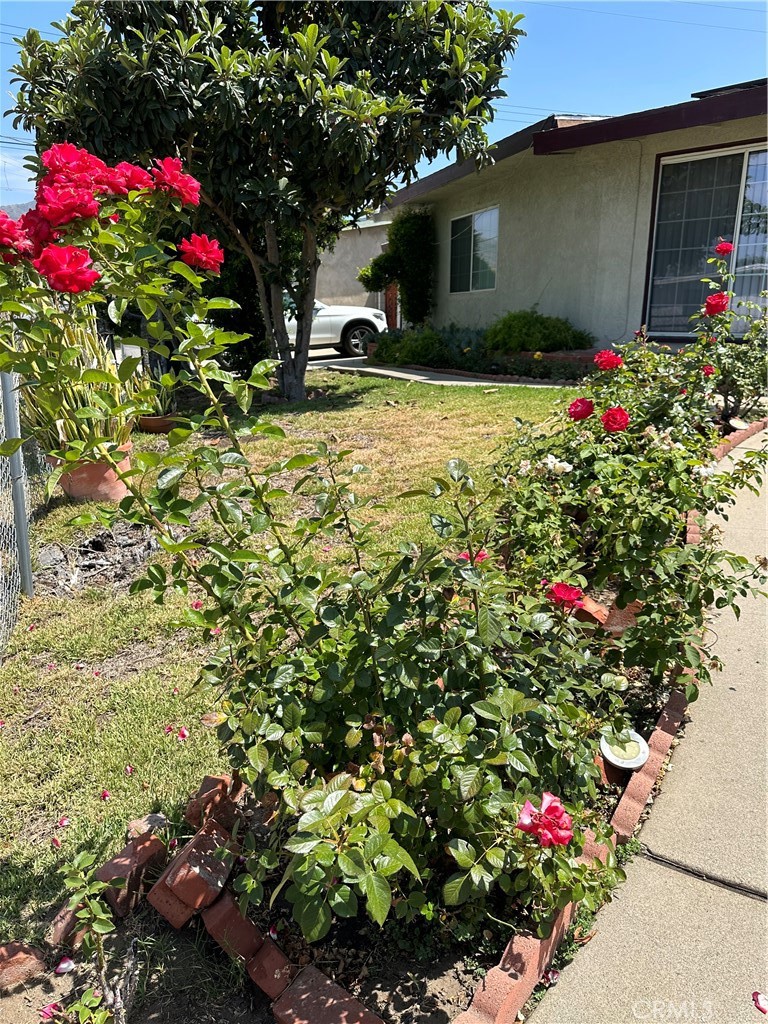 816 Delay Avenue
