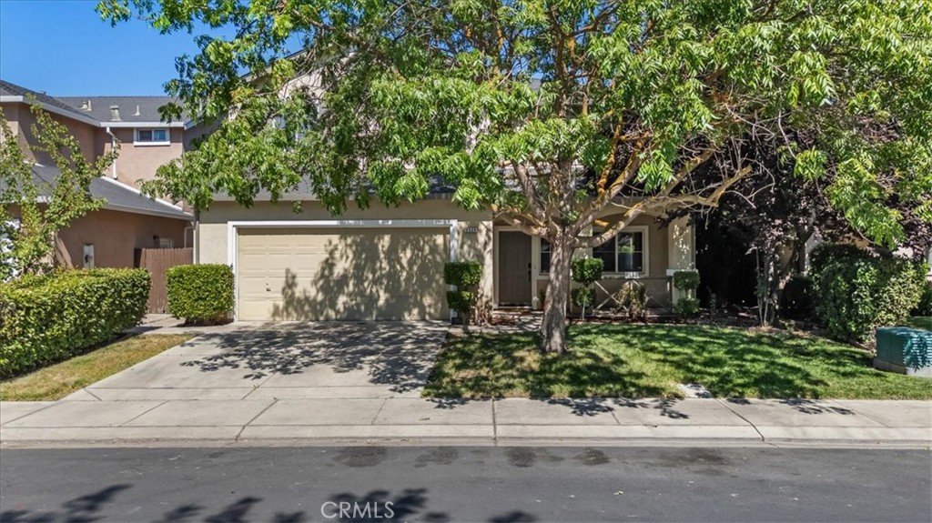 2520 Carnival Drive