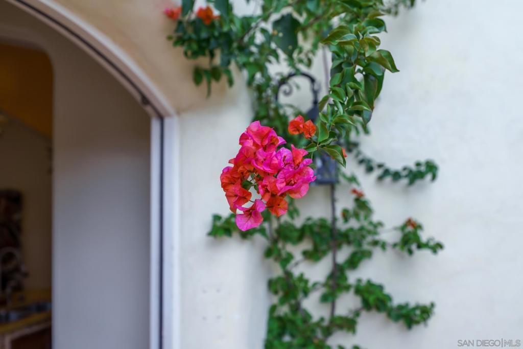Rancho Santa Fe - Residential Lease