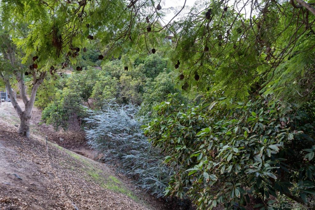 Fallbrook - Residential