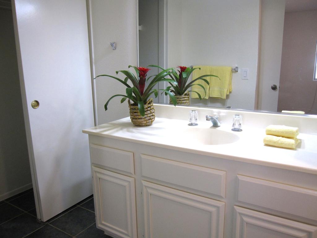 Vista Palm Desert - Residential