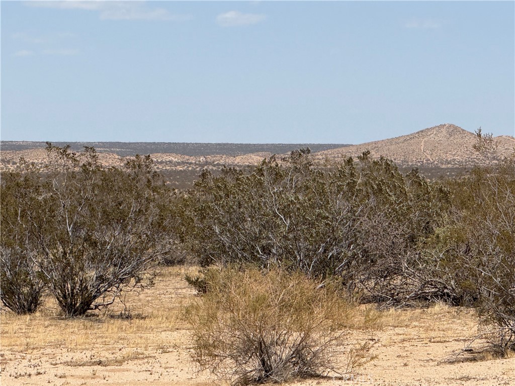 Endless possibilities await on this 2.68-acre agricultural vacant lot! Perfect for your desert getaway, this land offers the ideal space to build your dream ranch, start a farm, or simply enjoy wide open skies and peaceful surroundings. Whether you're looking for off-grid living, agricultural use, or a weekend retreat, this property delivers flexibility and freedom. Buyers to verify zoning and usage with the county.