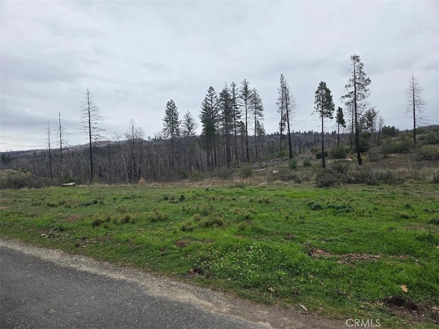 Affordable Foothill Opportunity in Berry Creek
Looking for that affordable mountain getaway property? Look no further! This beautiful .88-acre foothill lot offers a rare opportunity to rebuild, expand, or design something entirely new in the peaceful Berry Creek community.
The property previously accommodated a 3-bedroom, 1-bath home with 1,684 sq ft, providing a strong starting point for future development. The well and septic system condition are unknown and the property is being sold as-is, giving buyers flexibility to plan according to their vision.
Whether you’re looking to build now or invest for the future, this slice of Berry Creek delivers serenity, natural beauty, and a welcoming small-town atmosphere. Conveniently located down the street from the Berry Creek Fire Department and directly across from Berry Creek School (TK–8), the lot combines quiet mountain living with everyday accessibility.
If you’ve been dreaming of a foothill retreat, full-time residence, or investment property at an affordable price, this is your chance to create the lifestyle you’ve always envisioned.