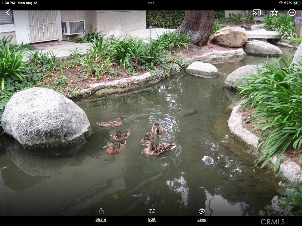 Irvine Springs (IS) - Residential Lease