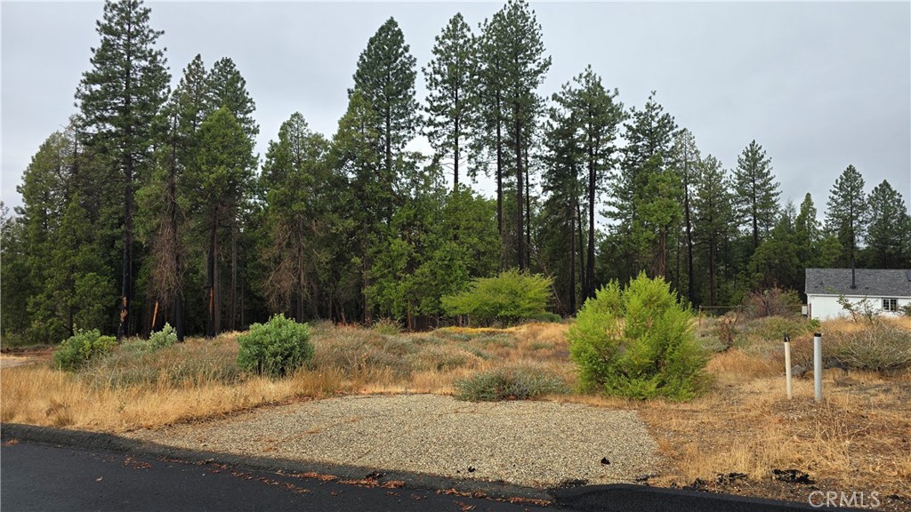 GORGEOUS VIEW OF THE VALLEY FLOOR. Second lot in on the Right.  This parcel offers a great opportunity to build your dream home in the heart of Magalia. The lot features existing partial driveway as well as some bushes and vegetation. Power and water are available on the lot, making your building process even easier. This lot is only minutes from the clubhouse and only a mile from downtown Magalia, you’ll enjoy quick access to shopping, dining, and the post office. Spend your summer evenings enjoying free live music on the lawn at the nearby Magalia Community Center & Park. Surrounded by lakes, rivers, hiking and riding trails, this lot is a perfect launching point for year-round outdoor adventure and peaceful mountain living. It also offers a quick and easy commute via Skyway to both Paradise and Chico. For outdoor enthusiasts, this lot is a short drive from recreational opportunities such as fishing, water sports, and adventure in Paradise Lake, DeSabla Lake, Lake Oroville Marina, or the Feather River. The property's inclusion in the Paradise Pines Property Owners Association enhances its appeal & charm, offering access to amenities such as pickleball and bocce ball courts, a children's playground, hiking trails, a swimming pool and spa, a clubhouse with meeting rooms and a library, dual event centers with fully equipped kitchens, and a bar and lounge for special events and community gatherings.