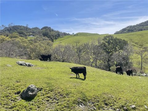 Tiny photo for 3265 Cypress Mountain Rd Rd, Templeton, CA 93465 (MLS # SR25196220)