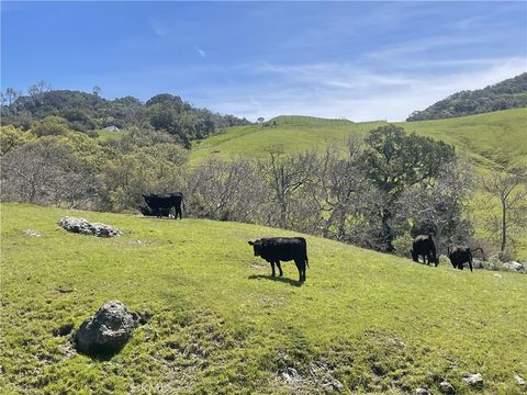 Tiny photo for 3265 Cypress Mountain Rd Rd, Templeton, CA 93465 (MLS # SR25196220)