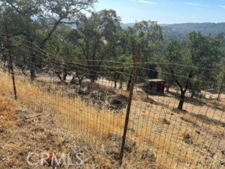 15569 Joseph Trail