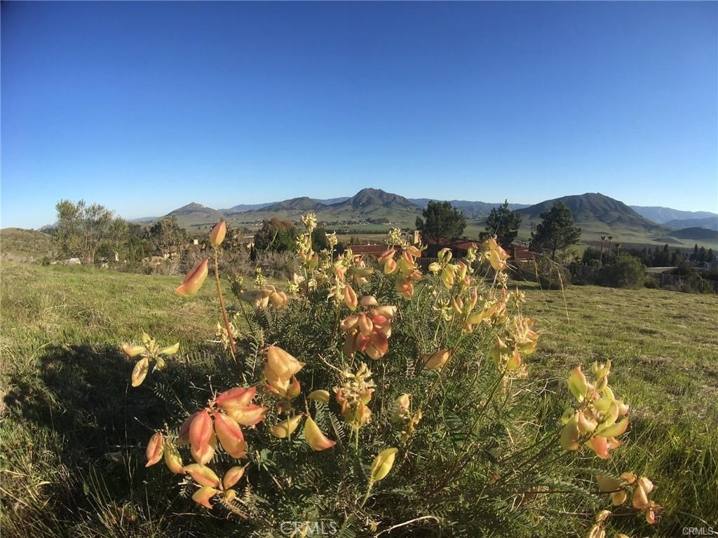 Build your dream house on this rare and hard to find Irish Hills area lot with some of the most incredible views in San Luis Obispo. This lot sits high on the hill in the Emerald Hills Tract area over looking the valley with underground utilities and streets. This amazing view lot has been kept in the family undeveloped for many years and is now being offered for sale. This lot borders a large Open Space area on two of its sides and street access on the third side. This view lot is just under a full acre but has a permeant Tract recorded easement over the adjacent Open Space area in favor of this specific lot for a driveway increasing this lots overall usable footprint to over an acre. Please refer to the supplemental attachments for more details of the recorded Emerald Hills Tract Map 1875
