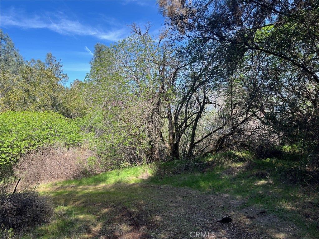 6189 Soda Bay