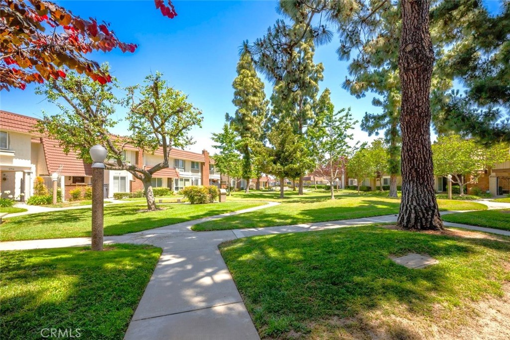 6909 Andrew Way