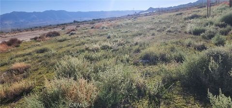 Photo of 0 Rabbit Springs Road, Lucerne Valley, CA 92356 (MLS # RS25232464)