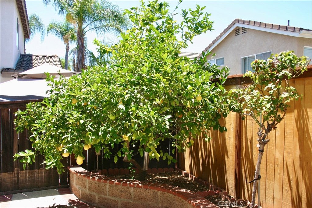 27 Tradition, Rancho Santa Margarita CA 92688 - Photo 32