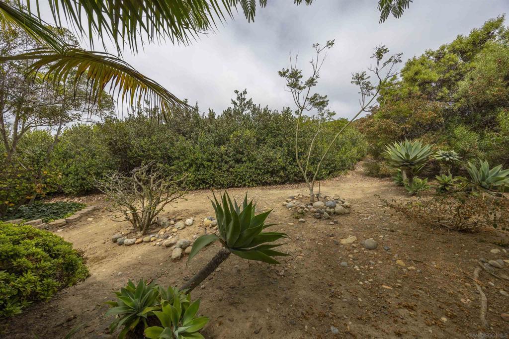 La Jolla - Residential Lease