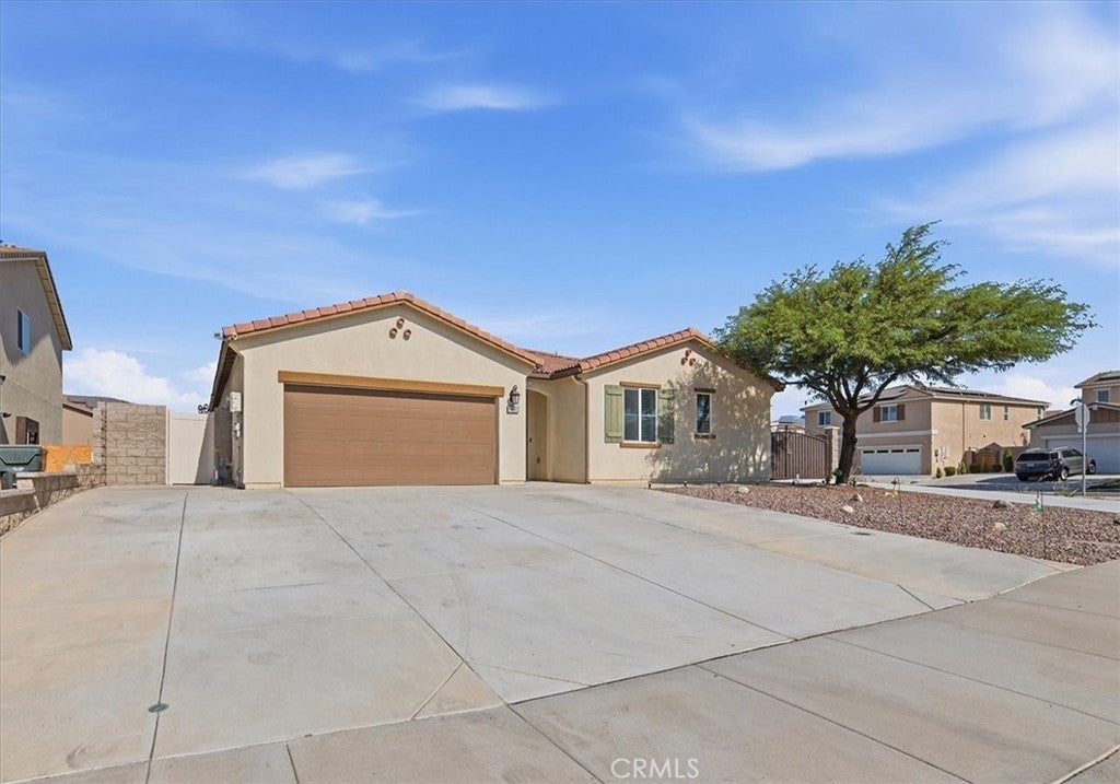 11565 Forsythia Street