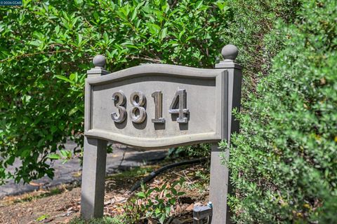 Photo of 3814 Happy Valley Rd Rd, Lafayette, CA 94549 (MLS # 41133976)
