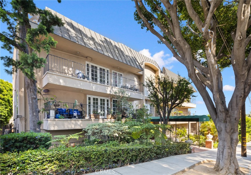 1010 Palm Avenue 207