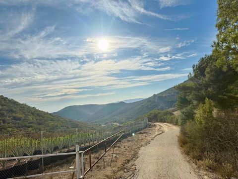 Photo of Rainbow Glen Road, Fallbrook, CA 92028 (MLS # NDP2508460)