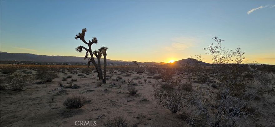 Take a walk around and discover why the current owners fell in love with this buildable lot. You'll find beautiful views in every direction, including those of Joshua Tree Village and Joshua Tree National Park. Stunning desert sunrises will greet you every morning, while the sunsets invite magnificent starry nights. Occasionally, a dusting of snow appears, transforming the desert into a winter wonderland. Power and water are conveniently located nearby. This property is just a short drive from a paved road and close enough to town for convenient trips to downtown stores, restaurants, and the weekly farmers market. The sign is on the property! The connecting land to the west and south is also available.