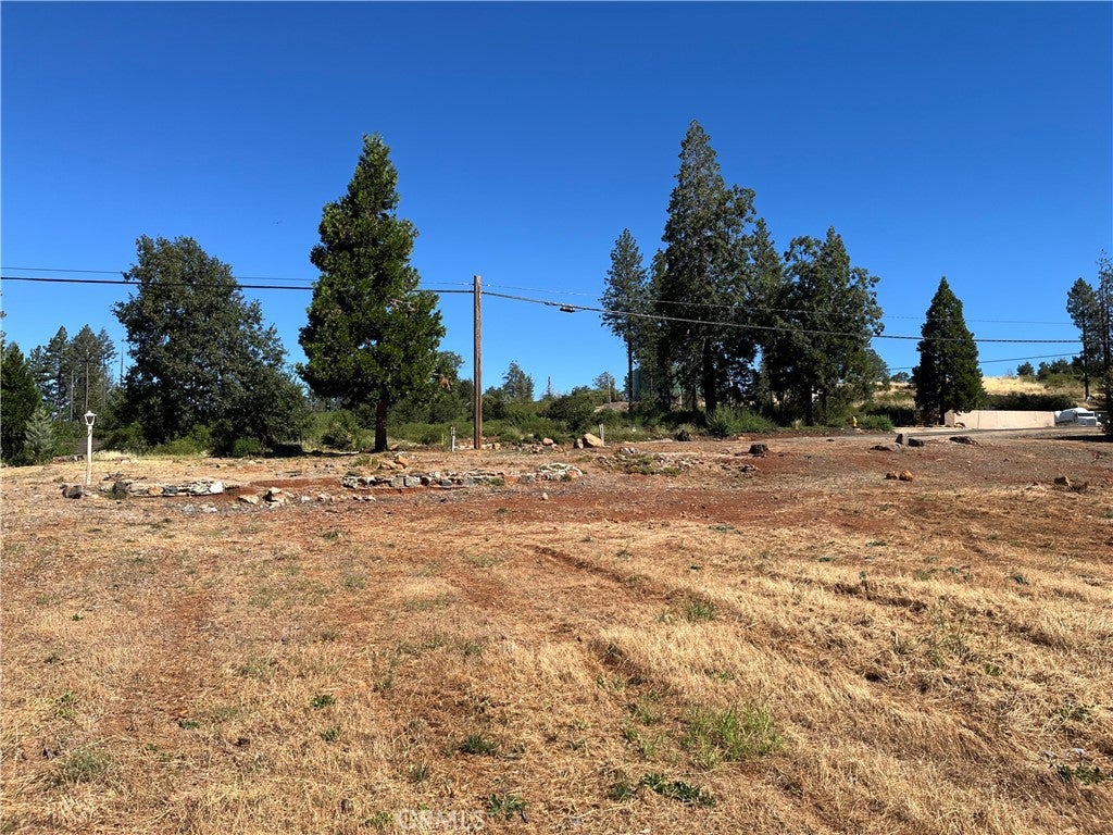 9250 Skyway Road
