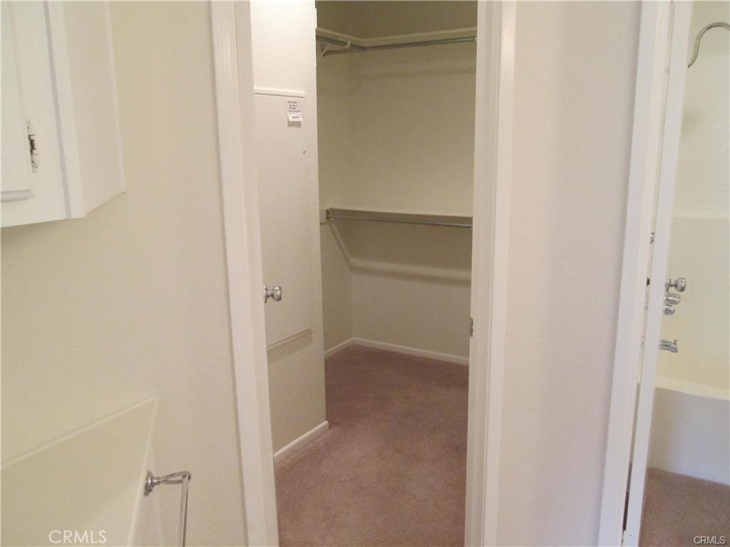 Mandevilla (MAND) - Residential Lease