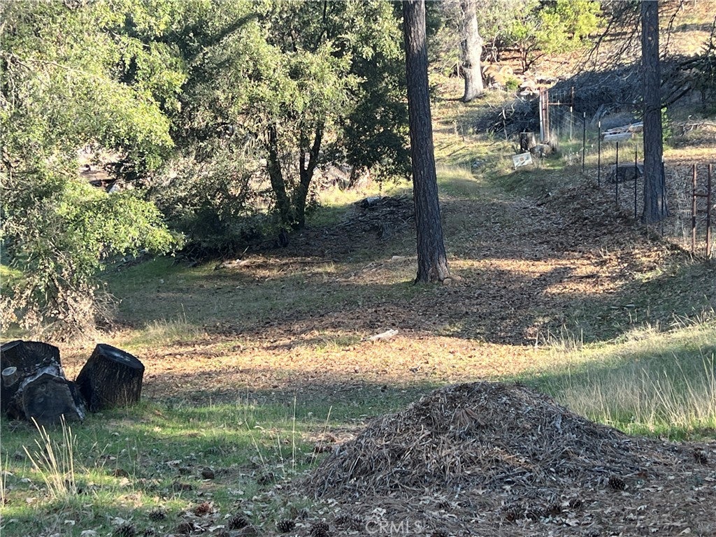 9457 Fox