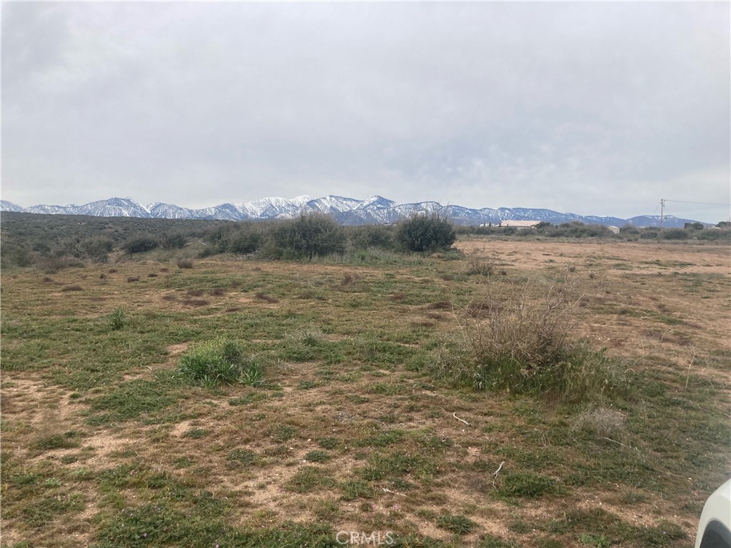 Large 40 acre lot. Custom homes all around. Division process is in with County for 5 parcels, buyer can continue process. Beautiful views. Water and electric at street. 1st lot from paved road.