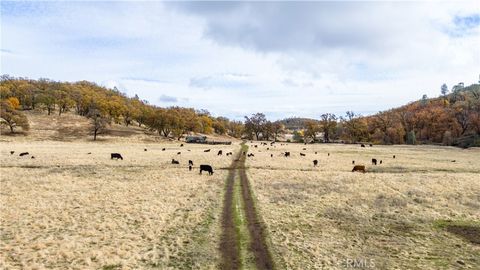 11158 Rocky Creek Road Lower Lake CA 95457