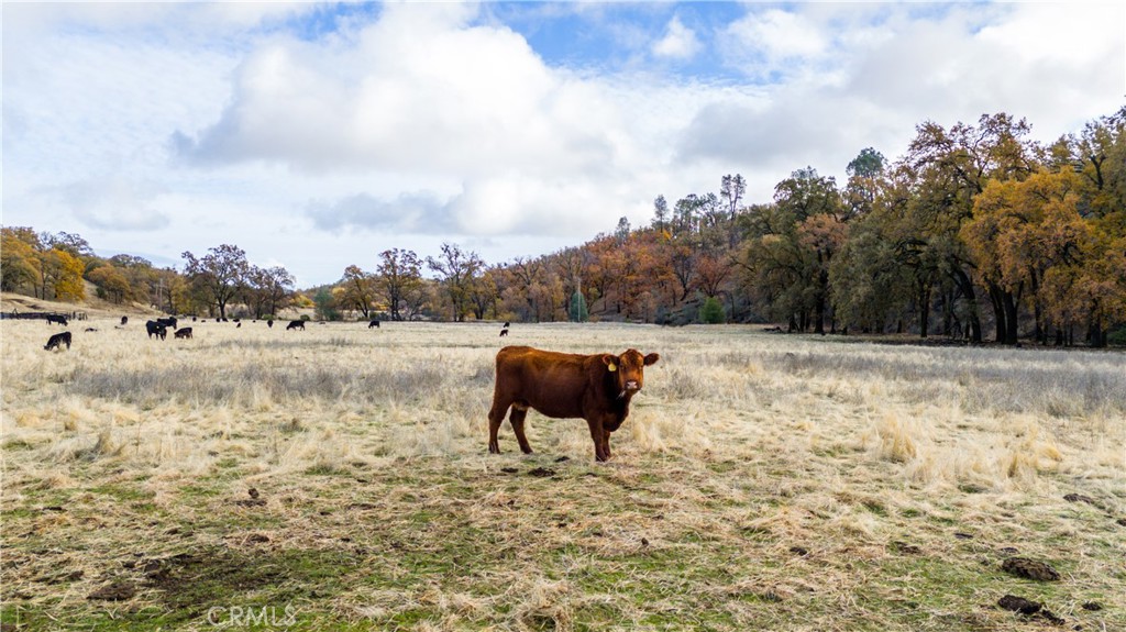 11158 Rocky Creek Road