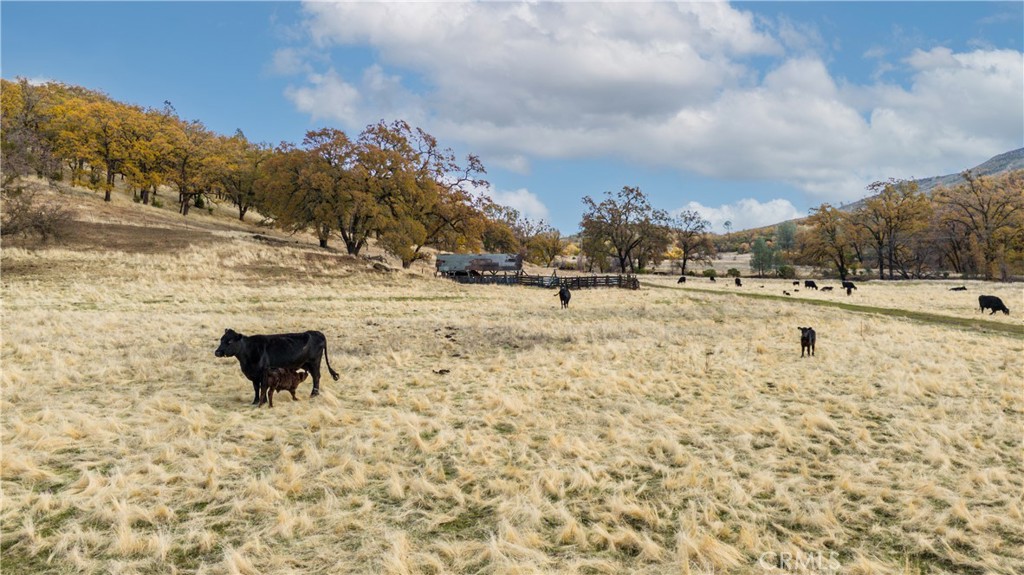 11158 Rocky Creek Road