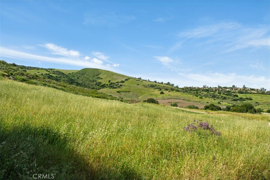 25 Golden Eagle, Irvine CA 92603 - Photo 31
