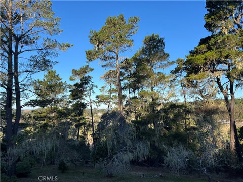 Tiny photo for 3235 Rogers, Cambria, CA 93428 (MLS # SC26233894)
