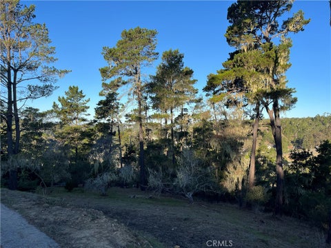 Tiny photo for 3235 Rogers, Cambria, CA 93428 (MLS # SC26233894)