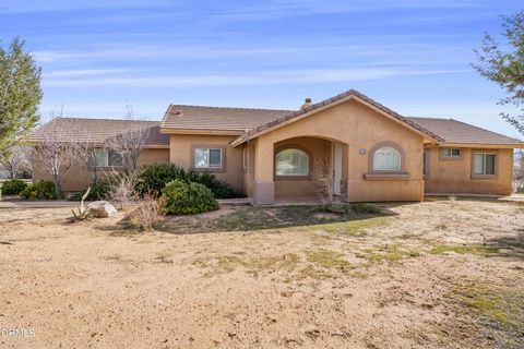 Photo of 17355 La Junta Street, Hesperia, CA 92345 (MLS # P1-25609)