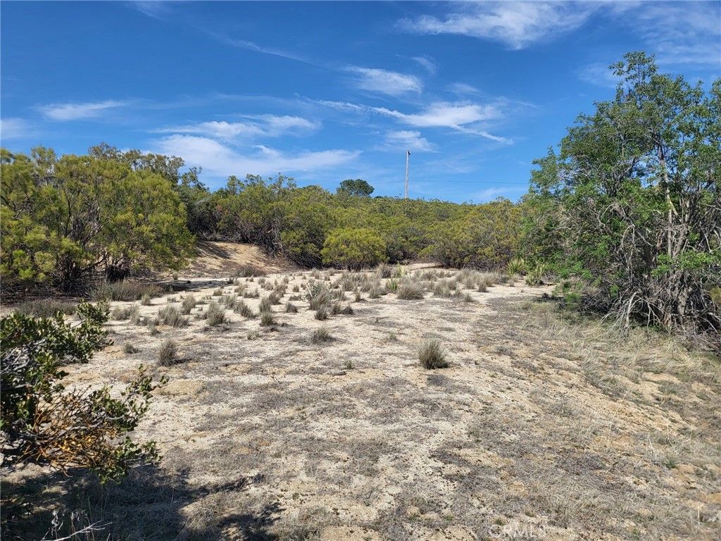 listing image 130722132430662850205