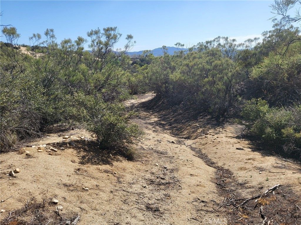 listing image 130728260030497320968