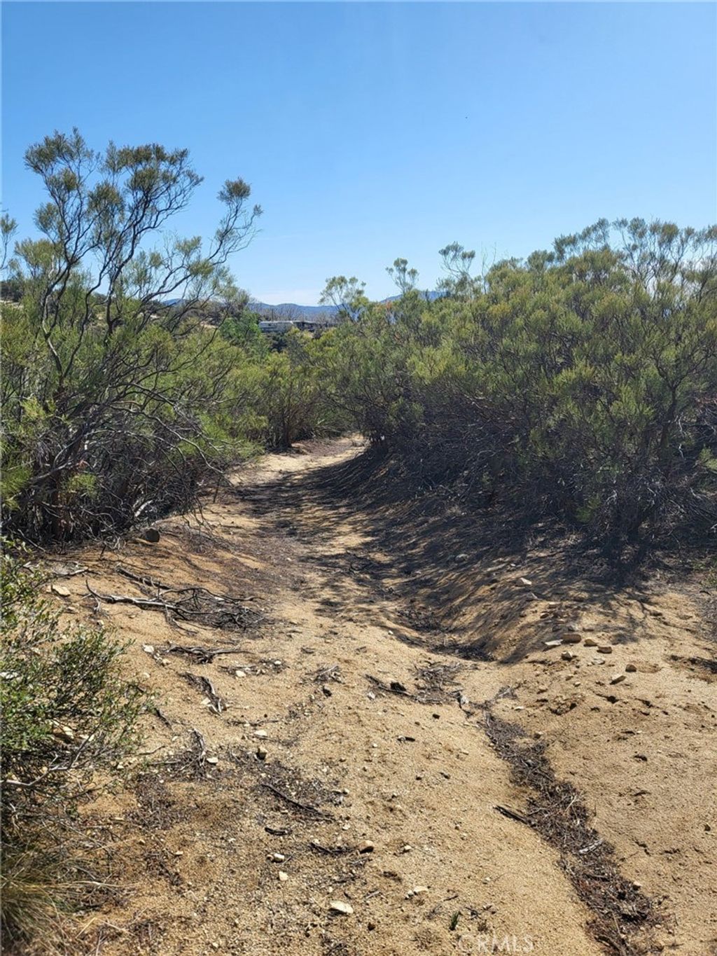 listing image 130720539005902417467