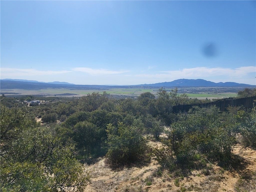 listing image 130725584522244869577