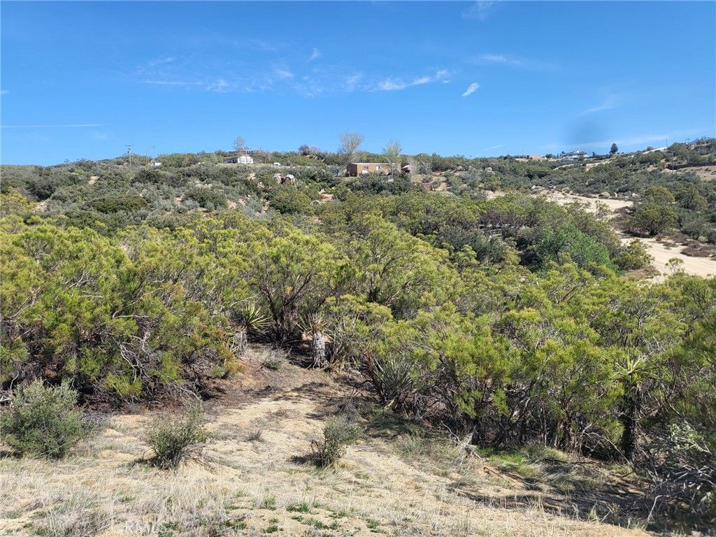 listing image 130723359205965310614