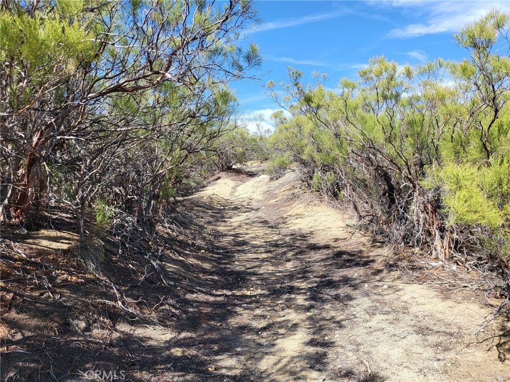 listing image 130728618929003055672