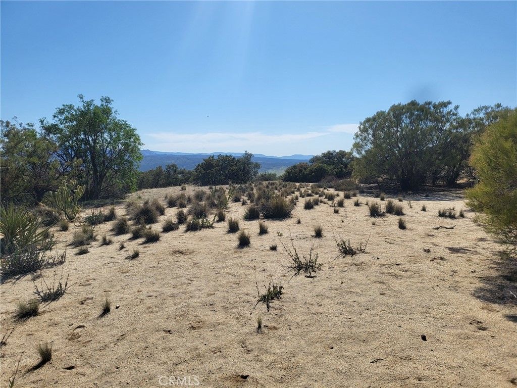 listing image 130724111032191392789