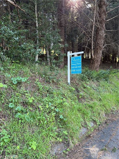 767 Spring Unincorporated CA 95589