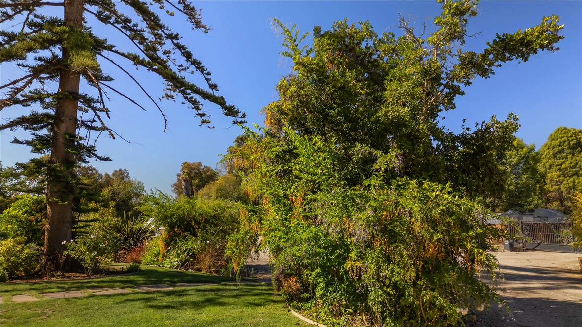Vista - Residential