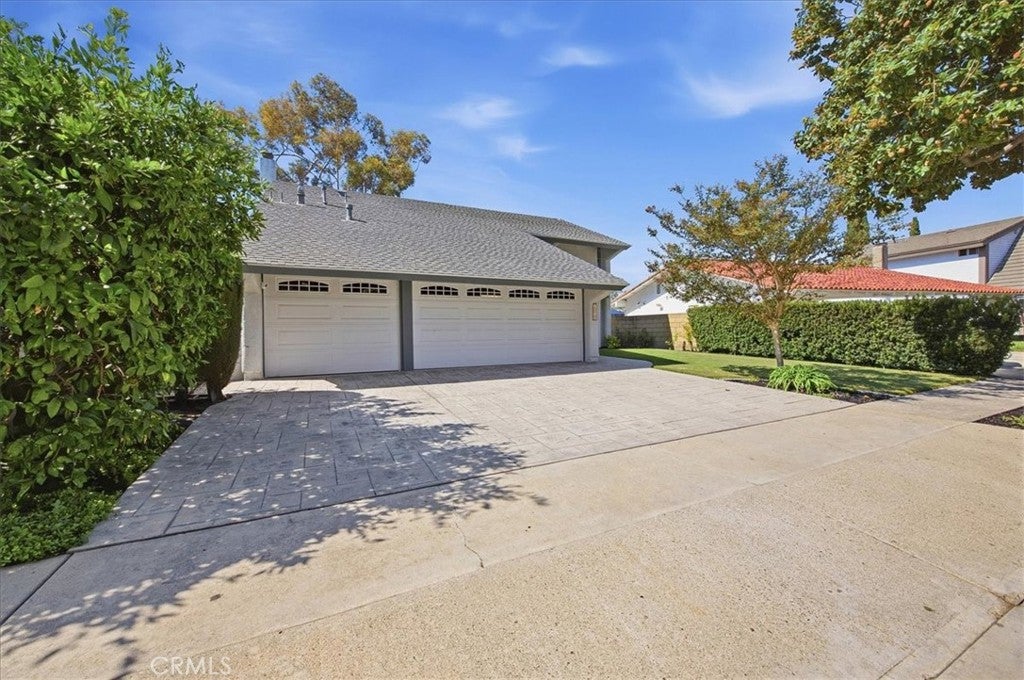 2232 Apple Tree