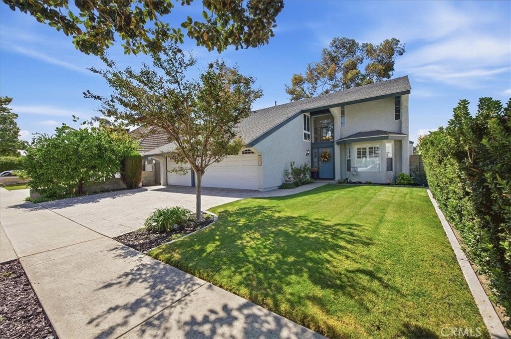 2232 Apple Tree
