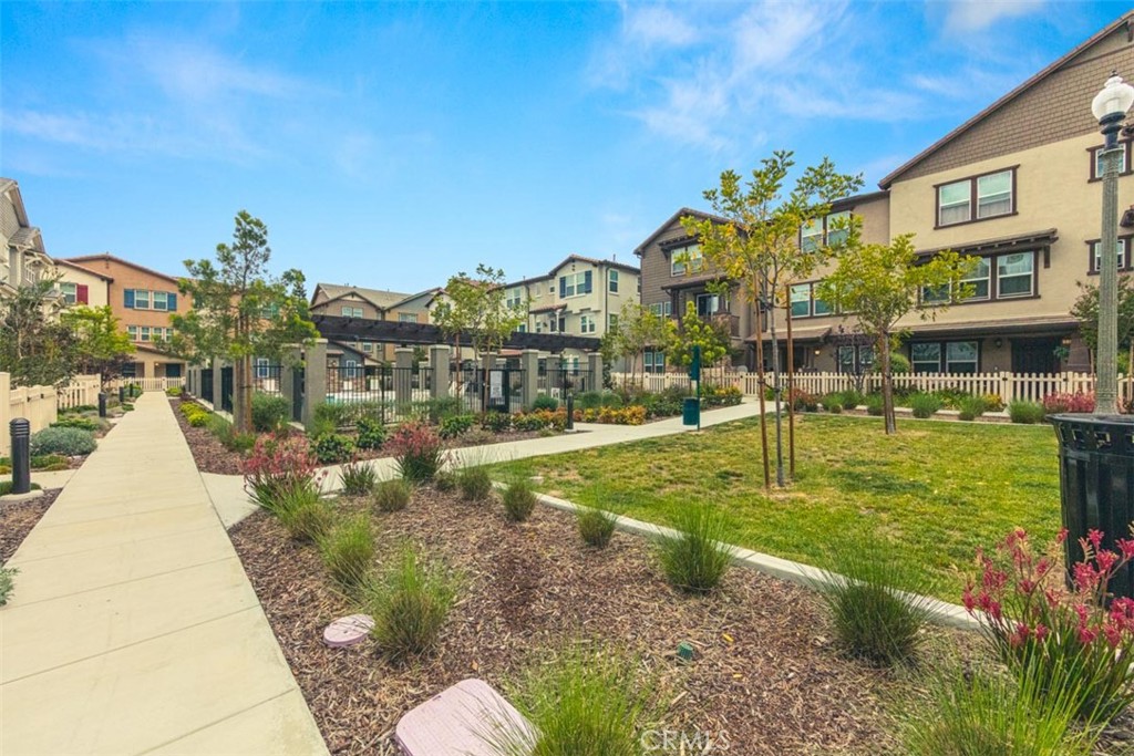 578 Apricot lane