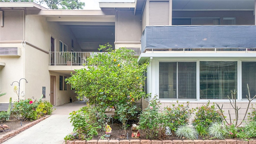 164 Avenida Majorca #Q