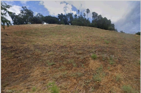 Photo of 2805 Round Drive DR, Los Angeles, CA 90032 (MLS # SR26157303)